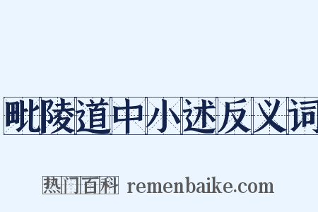 毗陵道中小述反义词是什么意思的图片